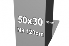 betoninė forma 50x30